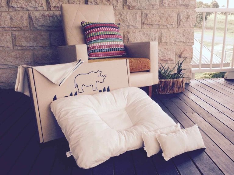 Non-Toxic Pillow covered in Organic Cotton