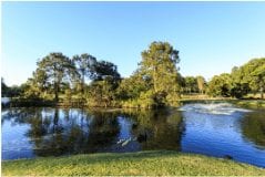 Gympie Duck ponds Image